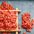 Mejor bayas de Goji secas de alta calidad de Ningxia / Wolfberry